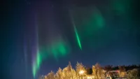 See the Northern Lights at sea with Ambassador Cruise Line