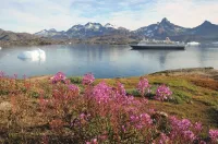 Fred. Olsen to use RIB boats to take passengers closer to the action