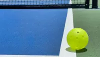 Pickleball Ball