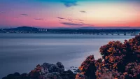 Dundee