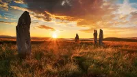 Shetland Stones