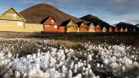 Top 10 reasons to travel on Hurtigruten’s Svalbard Express