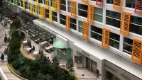 Icon of the Seas Neighbourhood