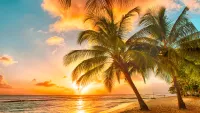 Everything you need to know about Marella’s Caribbean cruises – including three of the best to book for 2024