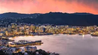 An expert guide to cruising New Zealand