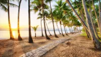 Cairns, Queensland
