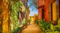 Senegal Cruises