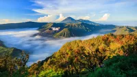 Cruises from/to Java