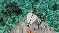Cruises from/to Bangka Island