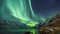 Northern lights shutterstock