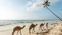 Mombasa