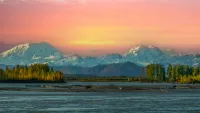 Cruises from/to Denali