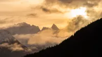 Cruises from/to Chilkat Valley