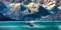 Alaska Cruises