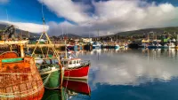 Dingle