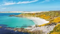 The Falkland Islands Cruises