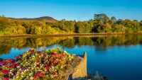 Cruises from/to Glengariff