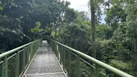 Cruises from/to Sandakan
