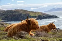 Scotland Cruises