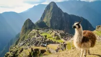 South America Cruises