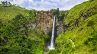 Cruises from/to Sumatra