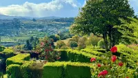 An expert cruise guide to Portugal