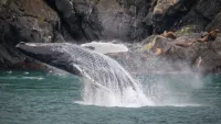 Enjoy exciting, adventurous optional activities that are expertly planned. Credit: Seabourn