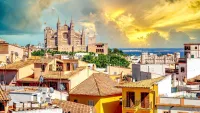 Palma shot