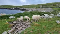 Kirkwall, Orkney Islands