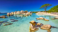 Cruises from/to Corsica