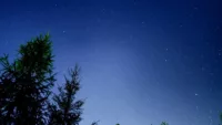 Star gazing Canva approved