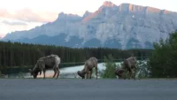 Banff national park