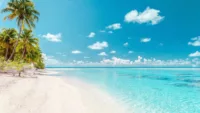 Caribbean cruises promise a tropical paradise. Credit: Shutterstock