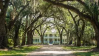 Cruise review: drift down the Mississippi River from New Orleans
