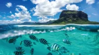 A first timer's guide to Hawaii