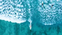 1 Surfing in Oahu jdross75 shutterstock 2440336127