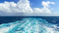 Can cruise ships and the environment really mix?