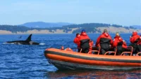 Zodiac boat