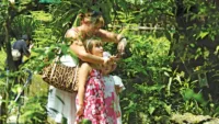 Malaysia Tourism butterfly farm