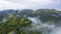 Penang global tourism the habitat