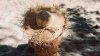 Sun protection
