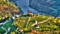 Douro vineyards 1 Image