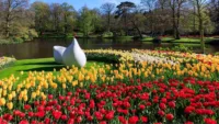 Shore excursions with Riviera Travel 1