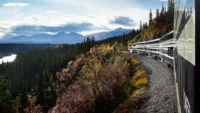 Alaska Princess train