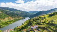 Douro valley 1 Image