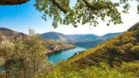 Douro Valley packing feature 1 Image