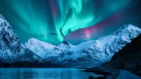 What are the best Northern Lights cruises?