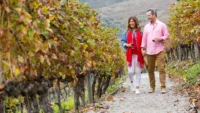 MS Estrela excursions