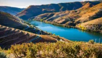Douro River Cruises