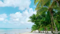 Cozumel Mexico